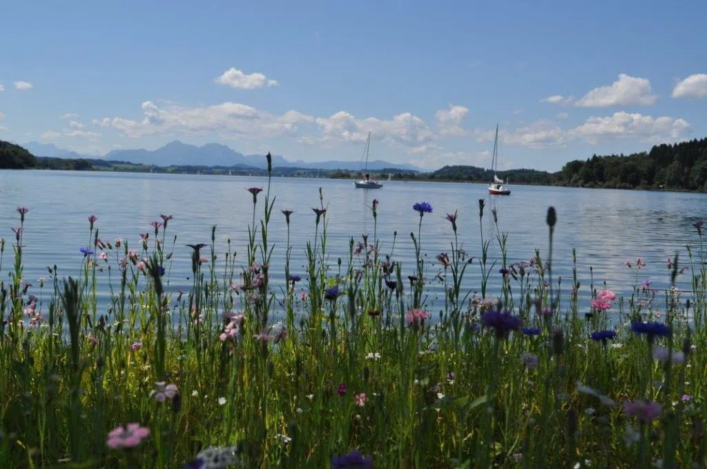 WallerseeAlm Bootsvermietung, Salzburg