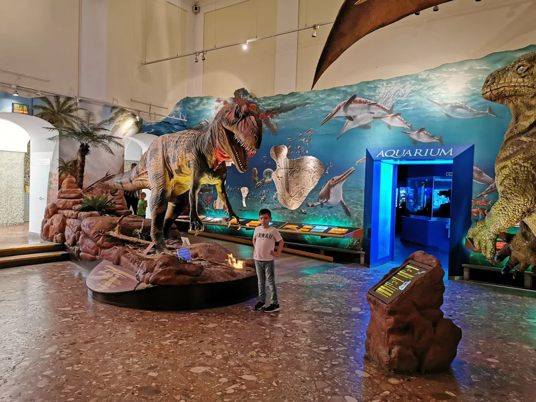 Haus der Natur, Salzburg