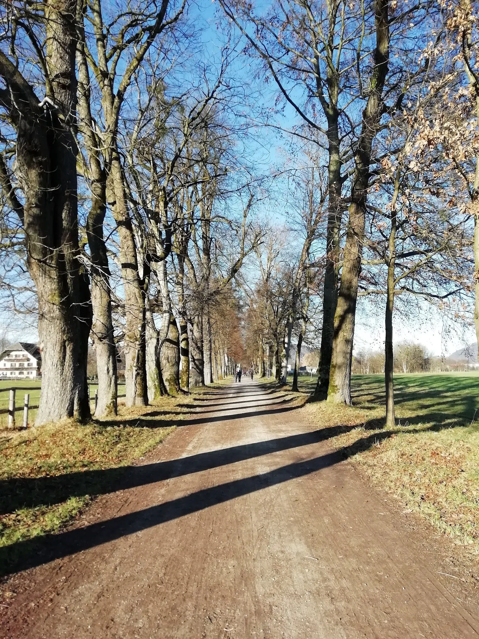 Hellbrunner Allee, Salzburg